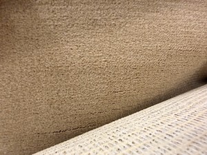 Approx. 12 x 25 (Approx. 300 Sq. Ft.) TanBeige Carpet Remnant