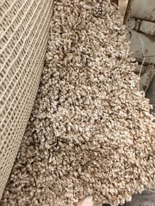 Approx. 12 x 18 Carpet Remnant  Neutral TaupeGreige Textured Frieze