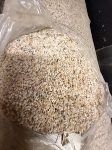 Approx. 12 x 20 Beige Flecked Plush Carpet Remnant