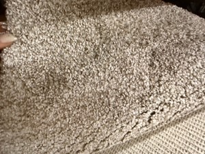 Approx. 12 x 95 Light Beige Plush Carpet Remnant