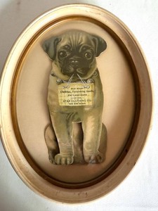 Antique Star Clothing Co. Oval Framed Pug Advertising Print 7 X 9 in