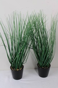 Artificial Tall Grass Succulent Plants (20 tall)