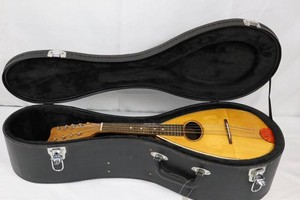 Vintage Mandolin With Case