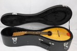 Vintage Mandolin With Case