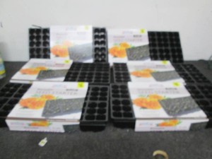 Lot of seed starter cells...
