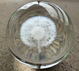 Art Glass Dandelion Paperweight