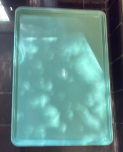 6-serving trays green