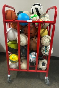 cart full of soccer balls, and basketball balls