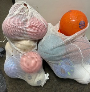 dodgeball and basketballs 2-bags (Gym)