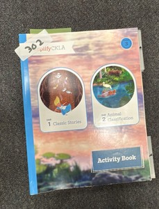AmplifyCKLA Grade 3 activity books