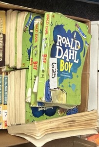 Roald Dahl Boy