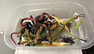 Container of plastic bugs