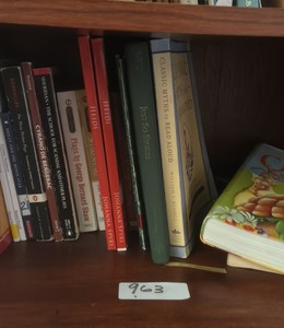 Shelf of books