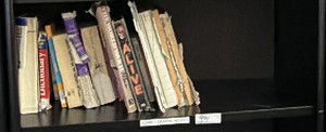 shelf of books MISC
