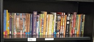 shelf of books POP YOUTH FIC
