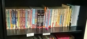 shelf of books POP YOUTH FIC