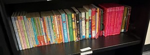 Shelf of books POP YOUTH FIC