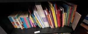 shelf of books misc