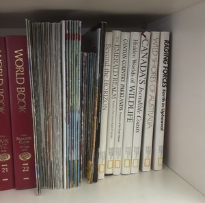 Shelf of books