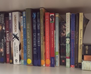 shelf of books