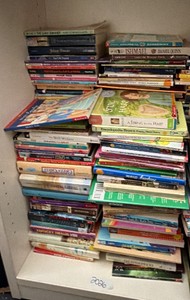shelf of books misc