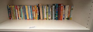 shelf of books misc