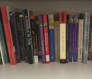 shelf of books