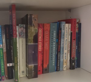 shelf of books