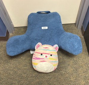 pillow and squishmellow