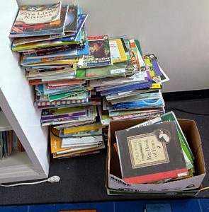 Lot of childrens books