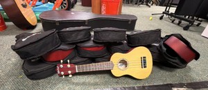 14-everJoys soprano ukulele