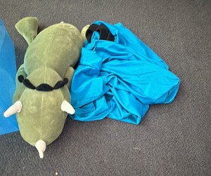 SPED weighted blankets and Timers