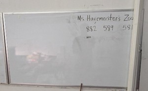 white board
