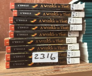 A wrinkle in time by Madeline Lengle  (r400)