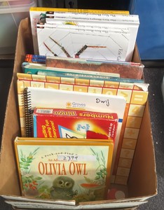 miscellaneous books