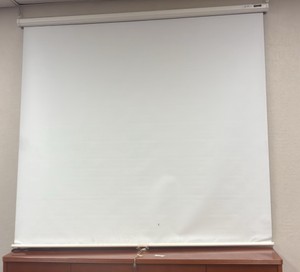 Projector Screen