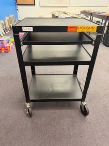 media cart