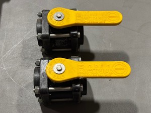 Banjo Polypropylene Ball Valves