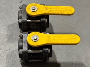 Banjo Polypropylene Ball Valves