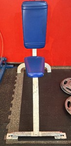 Cybex Commercial Upright Utility bench BlueWhite 90 degree Seated Weight Bench