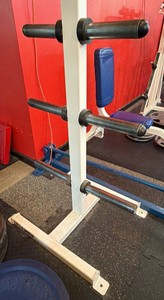 Vertical Olympic Weight Plate Tree Storage Rack (potentially Cybex) 6 horn Storage Rack