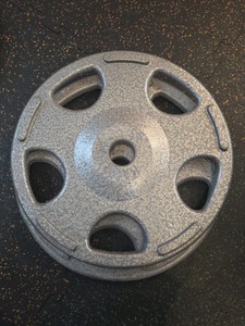 Hampton 45lb weights 2 in lot