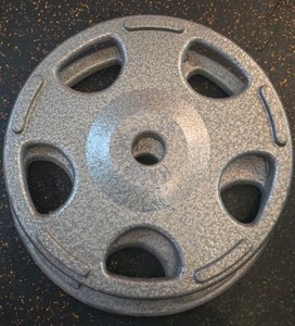 Hampton 45lb weights 2 in lot
