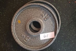5 lb weights 2 in lot