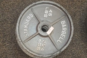 Standard brand 45 lb weights 2 in lot