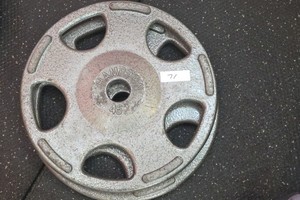 Hampton 45lb weights 2 in lot