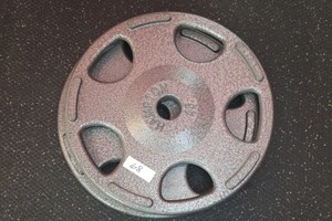 Hampton 45lb weights 2 in lot