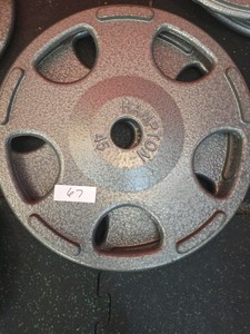 Hampton 45lb weights 2 in lot