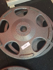 Hampton 45lb weights 2 in lot