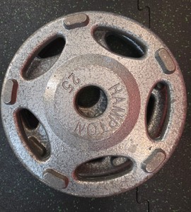 Hampton 25lb weights 2 in lot